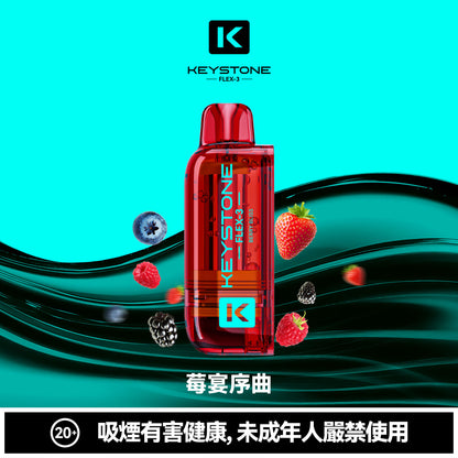 鑰石 25000口 換彈式電子煙｜可視油倉＋1100mAh超大電池｜買煙彈送主機-VAKA糖果雲煙館